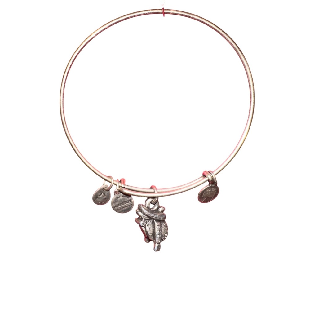 Alex and Ani Sadle Charm Bangle Bracelet Expandable Silver Tone